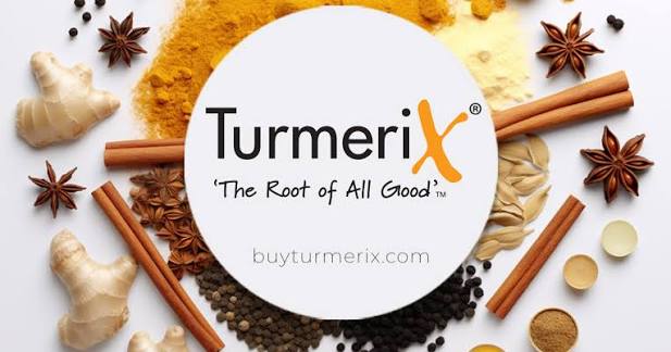 Turmerix Pty Ltd logo
